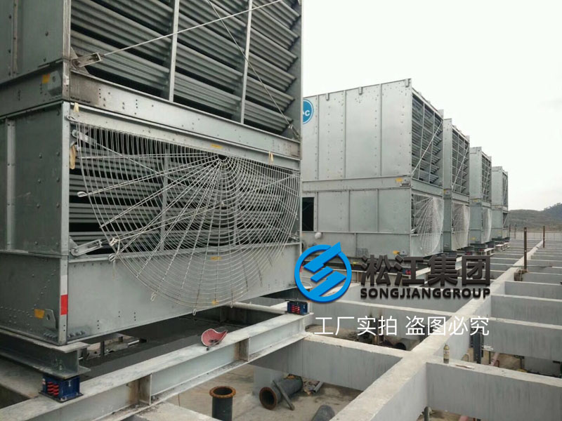 ˮL(fng)C(j)ɜpbF(xin)@͛]ˡ