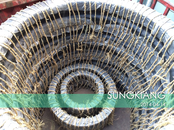 ɶ߅z^߸G߅z^ˮ̎S߅z^