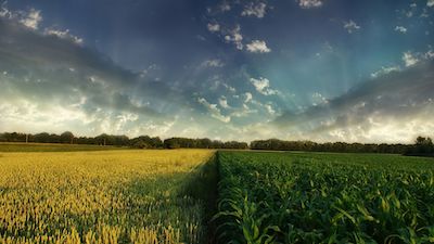 靈敏設(shè)備地板振動規(guī)范表